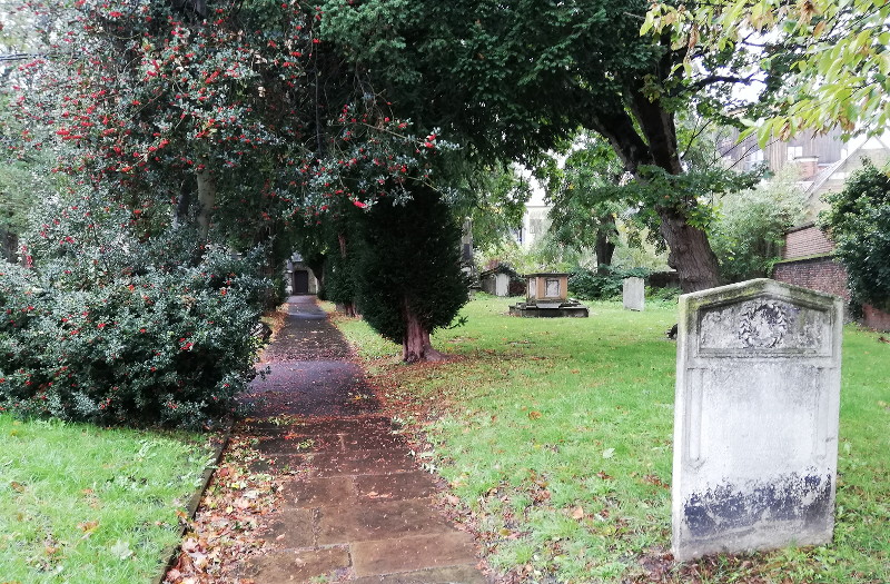 The avenue of yew
                        trees