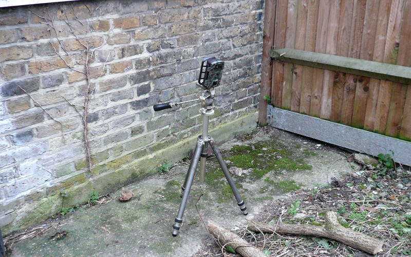 trail camera watching my
                      garden