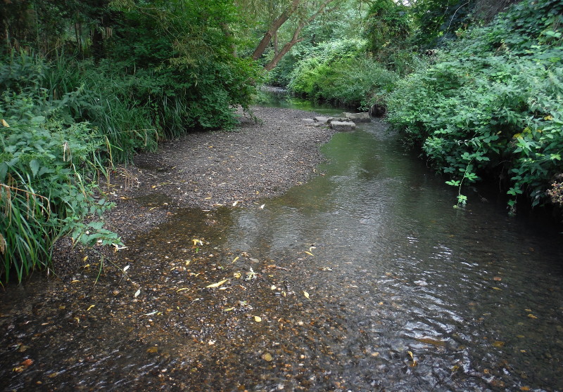 looking upstream from the centre
                              of the stream