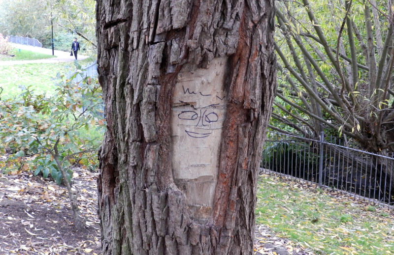 picture on a
                              tree