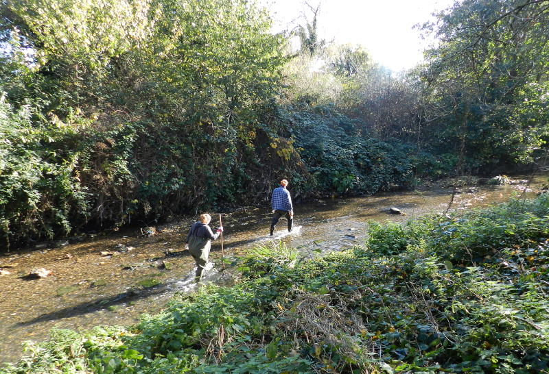 volunteers
                              cleaning up the river