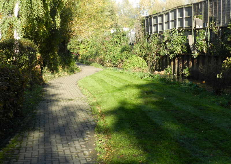 striped lawn