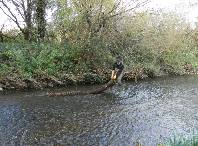 dragging a thing
                              to add to a berm