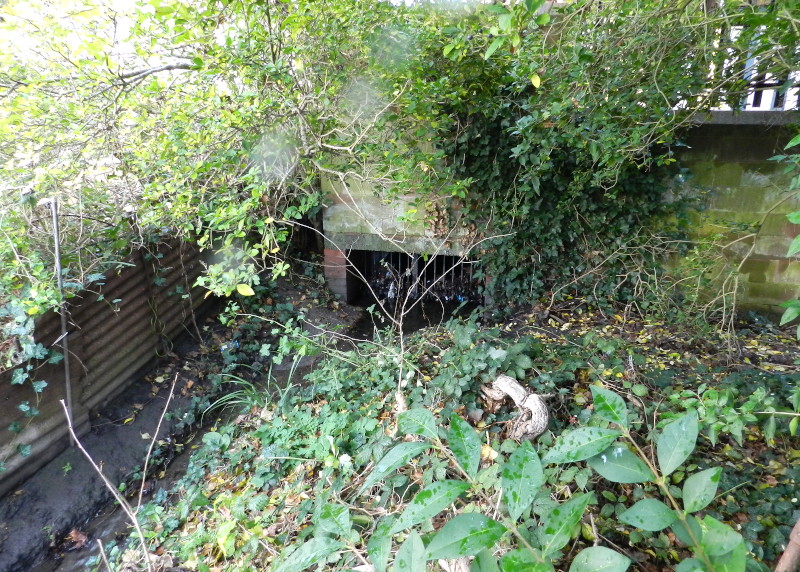 outlet
                                      from culvert