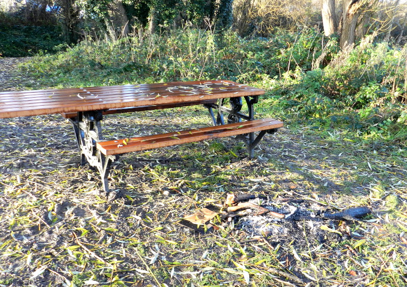 BBQ
                                      remains by picnic table
