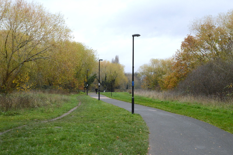 almost empty
                                  park