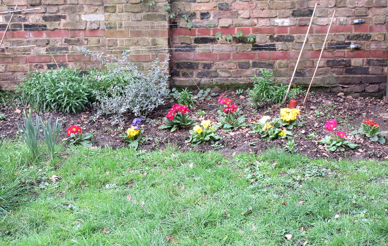 flowers in St Mary's
                          Therapeutic Garden