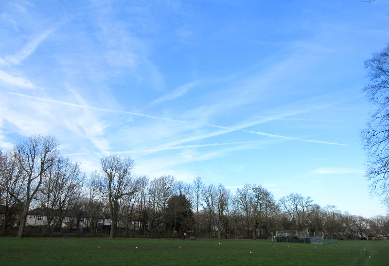 blue sky with
                          contrails