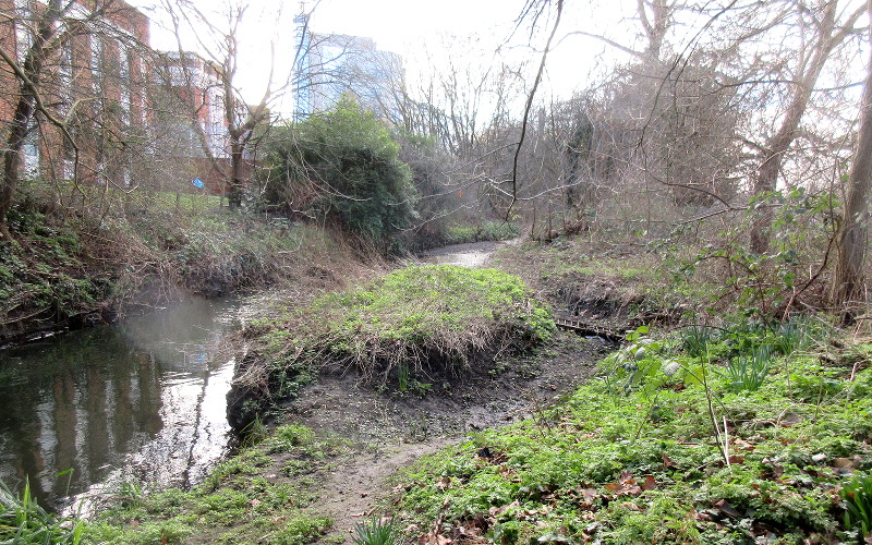 island in the river