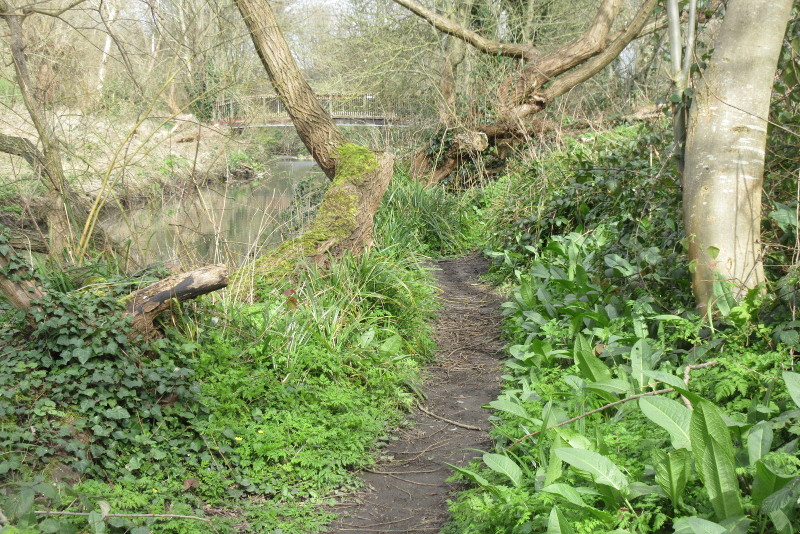 path on river bank