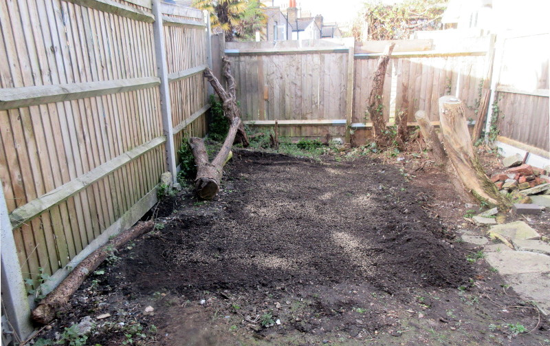 garden with grass
                          seed