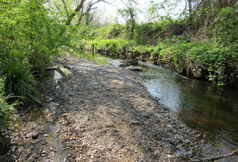 Exposed river bed