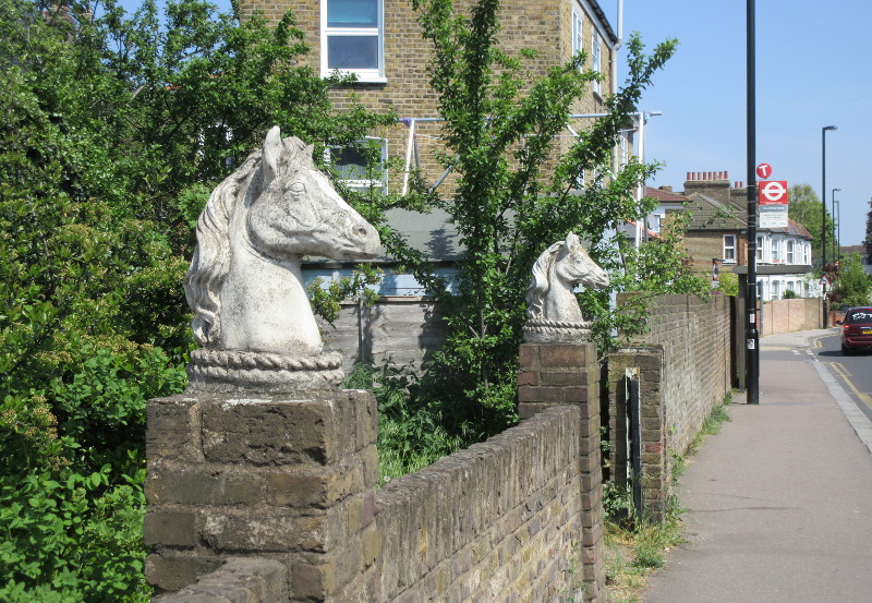 The horses of
                              Catford Hill