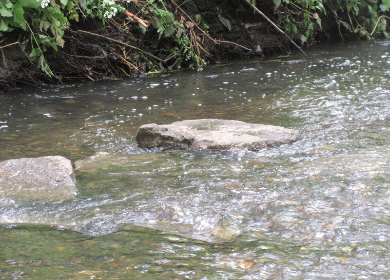 Rock
                                      surrounded by fast flowing water