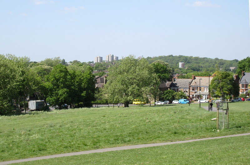 view from halfway up the hill