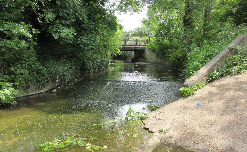 looking up the
                              River Ravensbourne