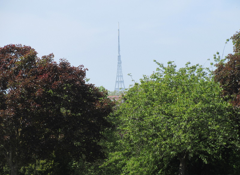 view of
                                  Crystal Palace TV mast through the
                                  trees