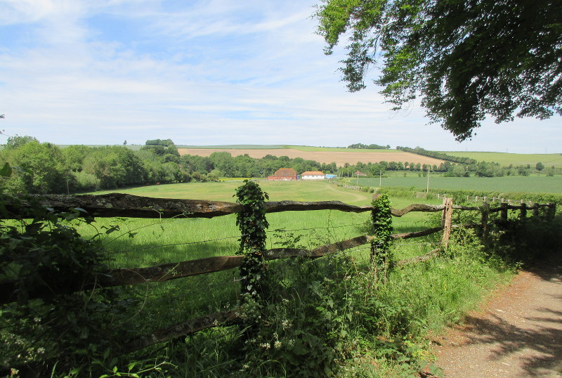 first view
                                after leaving the main road