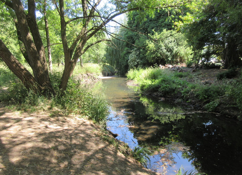 The River Pool