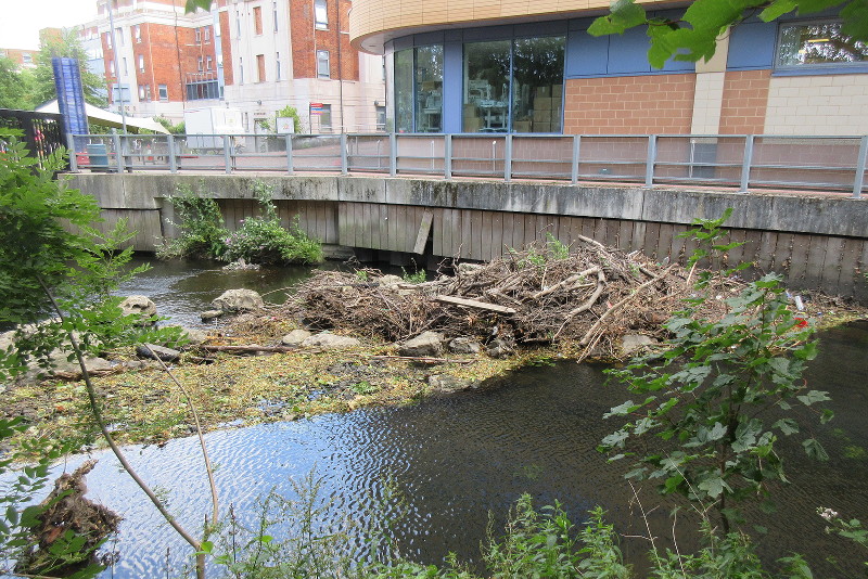 loads of debris
                              caught in weir