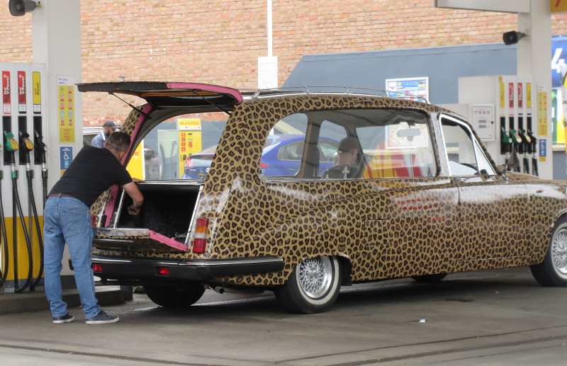 leopard skin
                              hearse