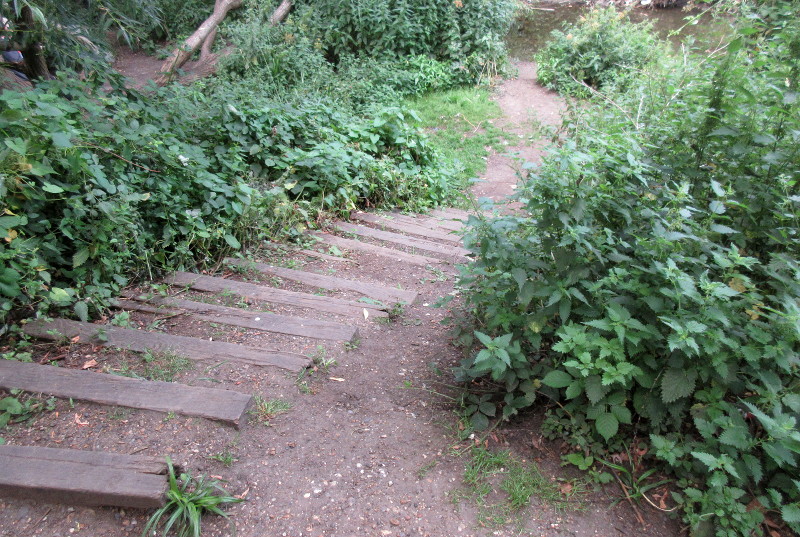 steps down to
                              the river