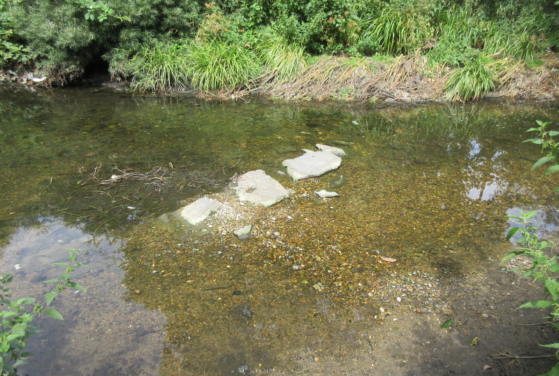 rocks in the
                              river