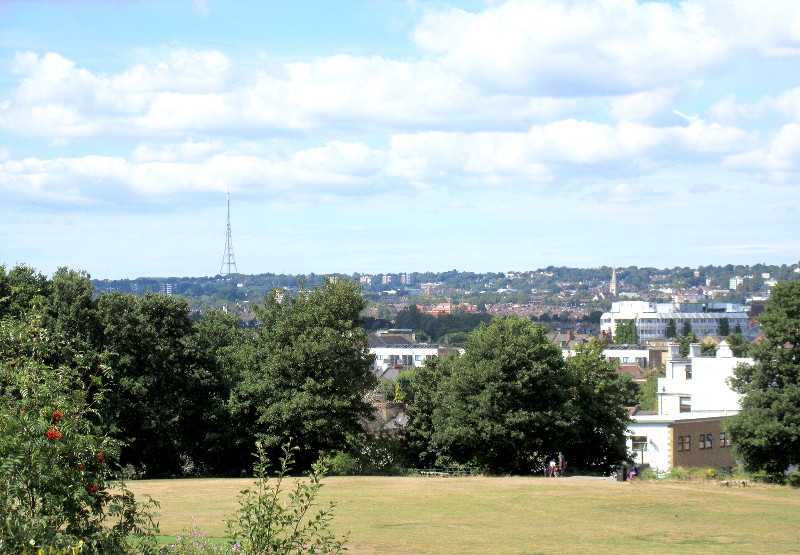 View from
                                  Mountsfield Park