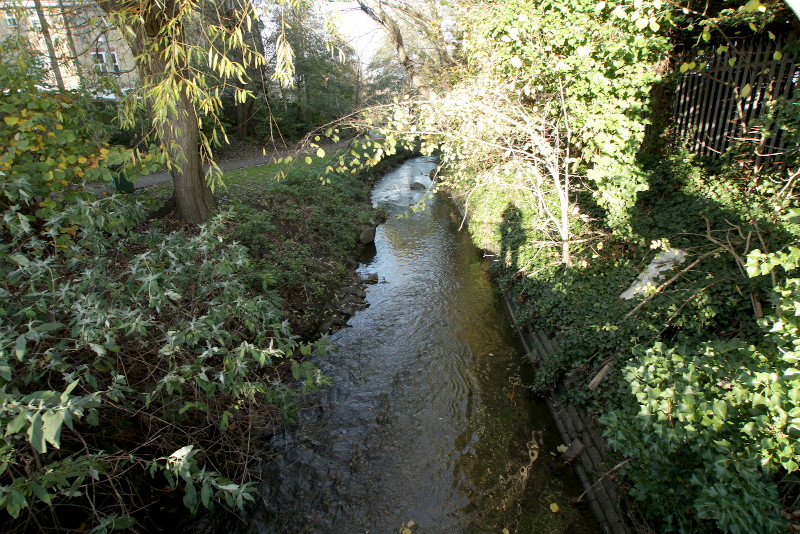 The River Pool
                              after crossing under Worsleybridge Road