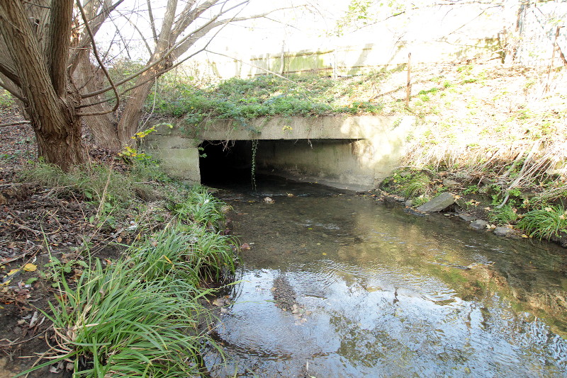 Culvert under
                              Meadowview road - and much further.