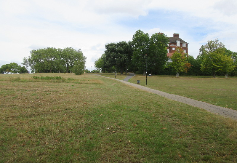 looking up to
                              the top of Hilly Fields