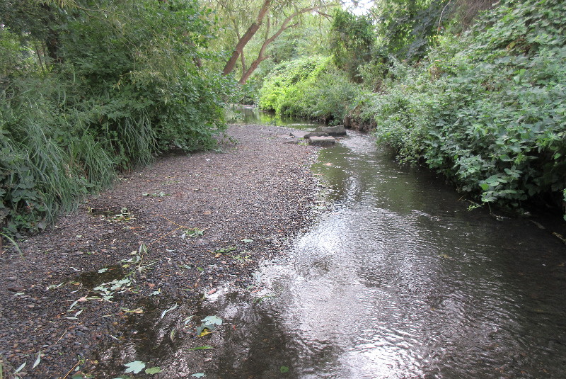 looking up
                              stream at the rocks