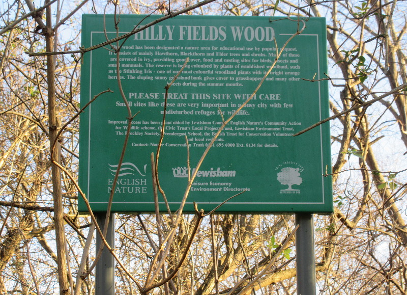 Name board
                                  for Hilly Fields Wood
