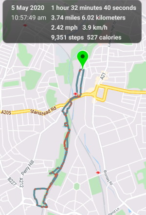 my walk according to my
                                      Motorola G