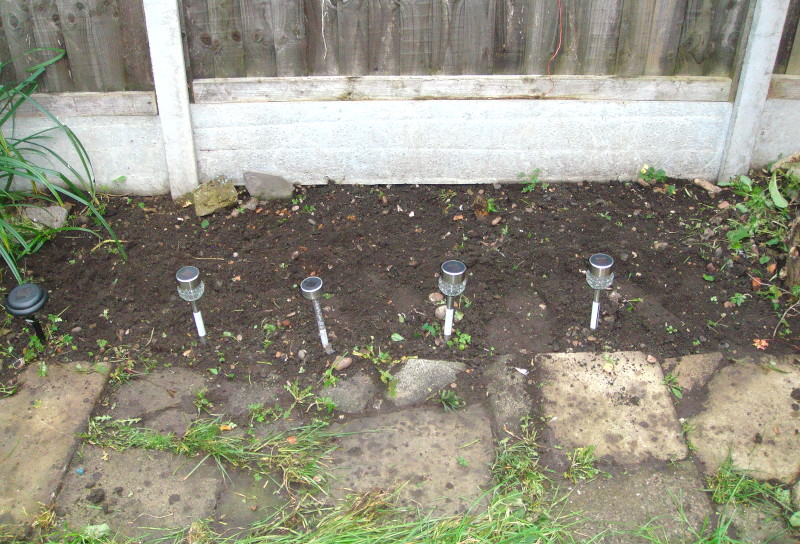 nearly
                                    weed free and bulbs and stuff sown