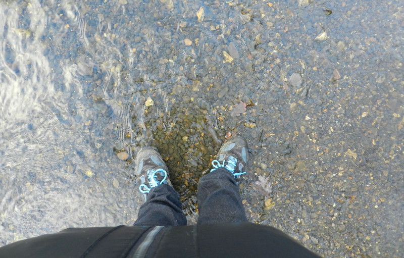 standing in
                                  the river