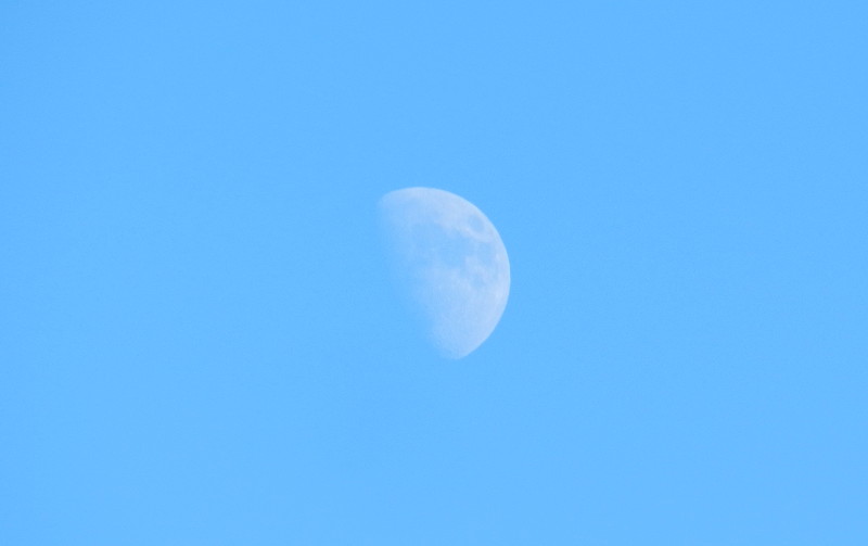 the moon at
                                  about 2pm