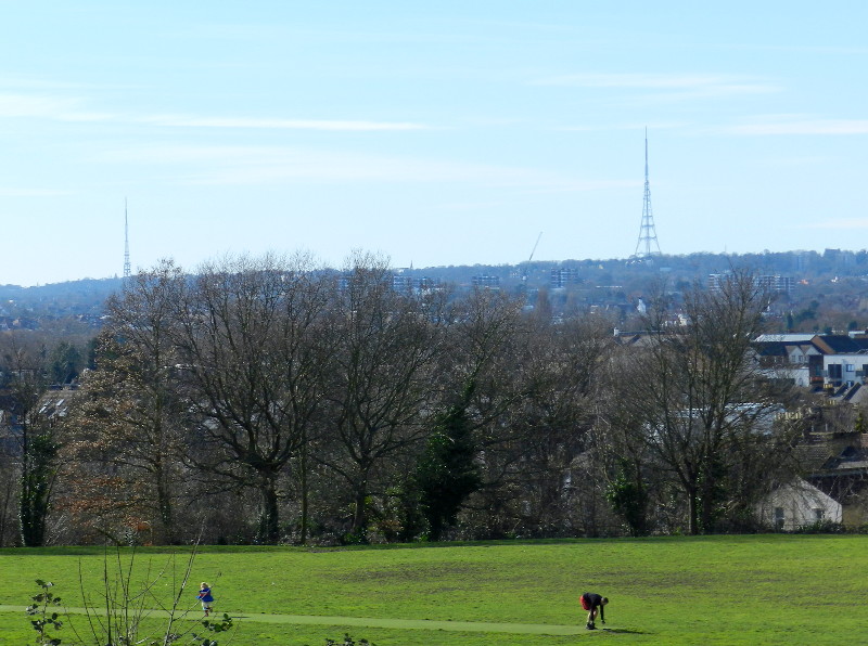 view
                                      from the top of Mountsfield Park