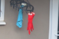 rubber gloves drying outside