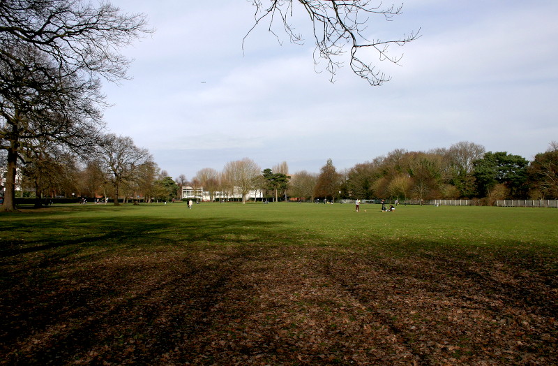 view
                                      north across Cator Park