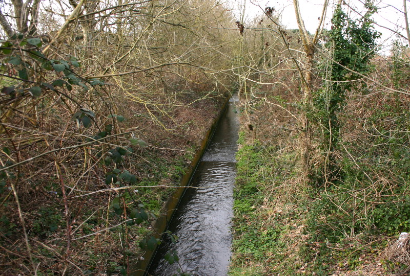 The
                                      Beck