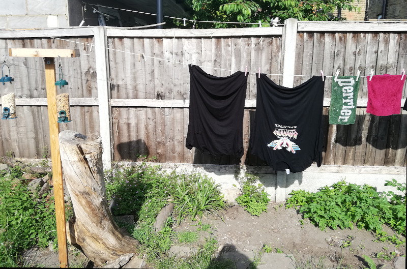 washing
                                      on the line