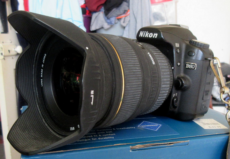 Nikon
                                      D80 and Sigma lens