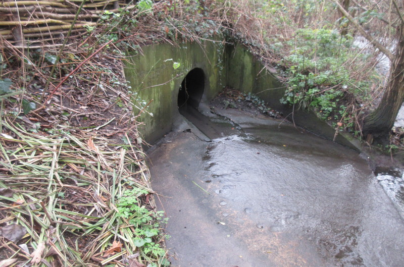 land drain
                                    or stream outlet.