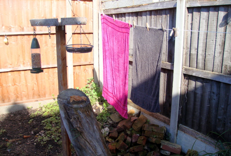 washing on
                                    the line, in the sunshine