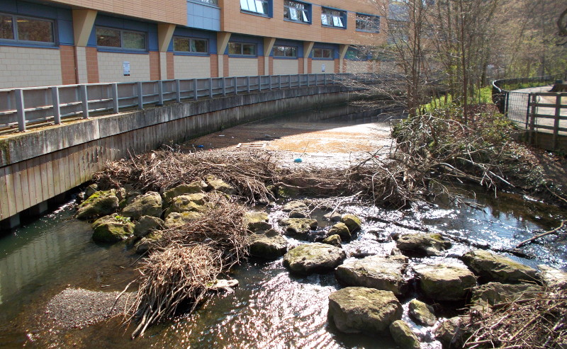 Weir by the bridge
                            to Lewisham Hosoital