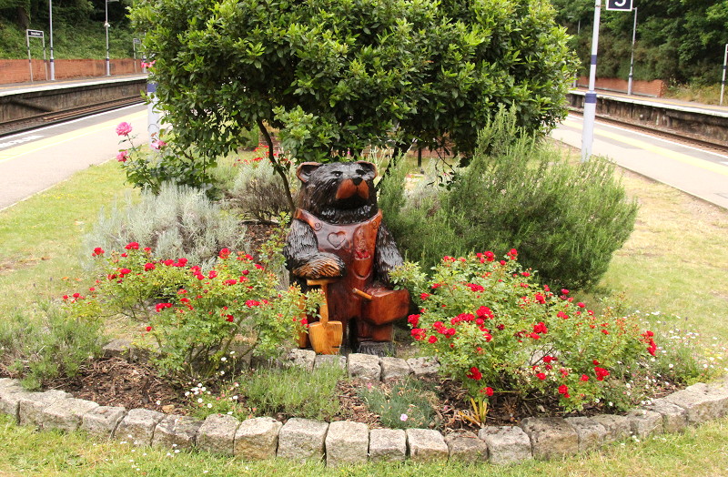 bear in garden