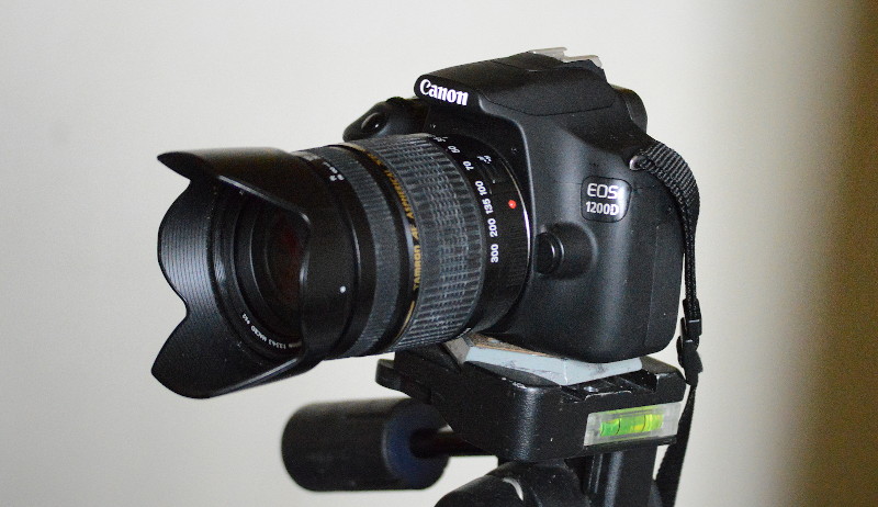 Canon EOS 1200D
                              with Tamron lens
