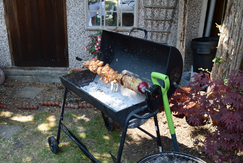 BBQ chicken
                              portions