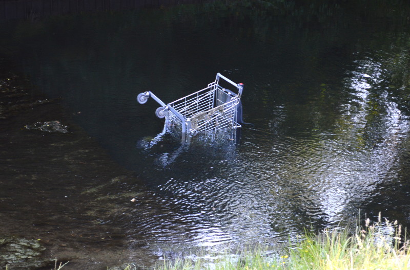 shopping trolly
                              in the river